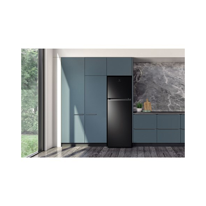Electrolux Kulkas Two Doors 341 Liter - ETB3700K-H